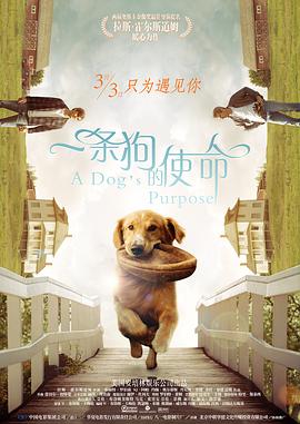 品久久久久久久久久96高清